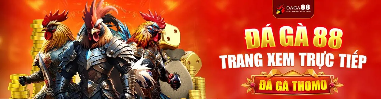 Đấu trường đá gà trực tuyến FA88 sôi động